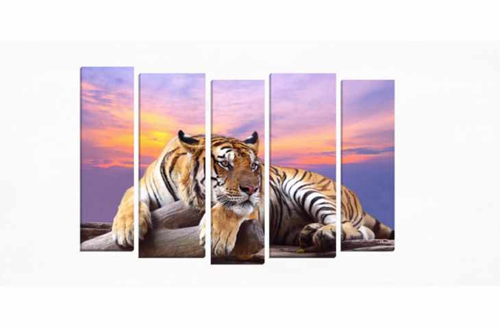 Модульные картины с кошками фото 1094
